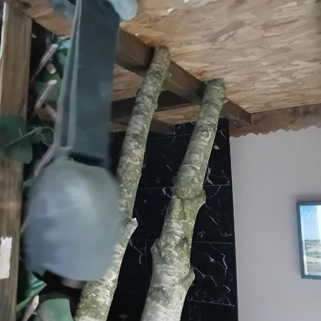 Ferienwohnung La Grange De Paul Au Domaine Du Reuze Winnezeele Exterior foto